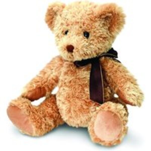 Cuddles Teddy Bear