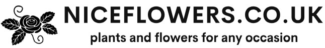 niceflowers.co.uk