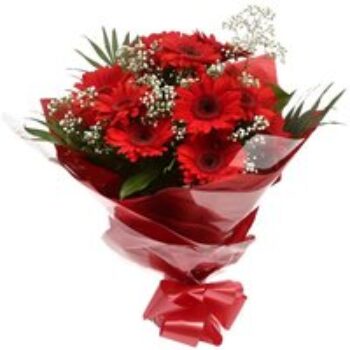 Red Glamour Gerberas