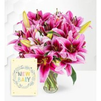 Stargazer Lilies with New Baby Card