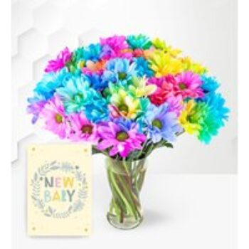 Rainbow Joy with New Baby Card