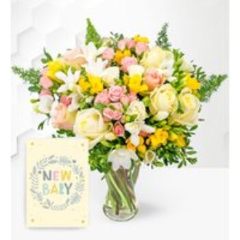 Rose and Freesia with New Baby Card