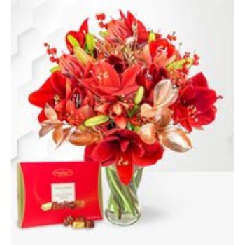 Amaryllis Allure and Chocolates