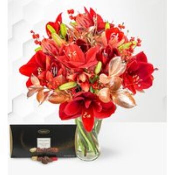 Amaryllis Allure & Luxury Chocolates