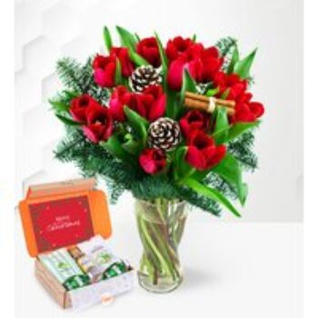 Christmas Tulips Gin Gift