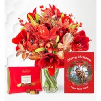 Amaryllis Allure Joyful Gift