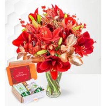 Amaryllis & Gin Gift