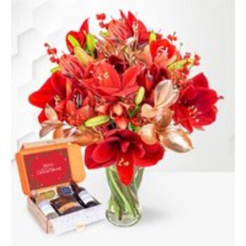 Amaryllis Allure & Wine Gift