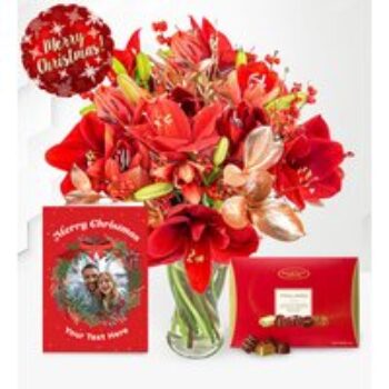 Amaryllis Allure Ultimate Gift