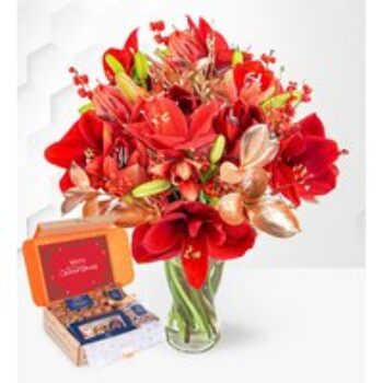 Amaryllis Allure & Chocolate Gift