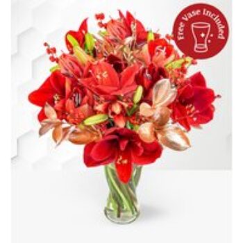 Amaryllis Allure with Vase