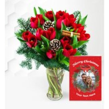 Christmas Tulips with Card