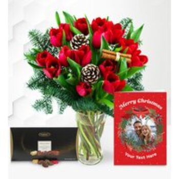 Christmas Tulips Bundle