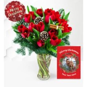 Christmas Tulips Celebration Gift