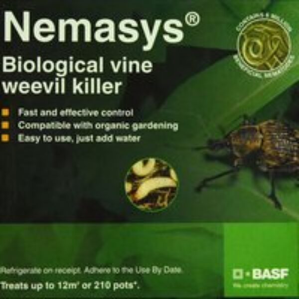 Nematode Vine Weevil Killer 12m² (Spring and Autumn)