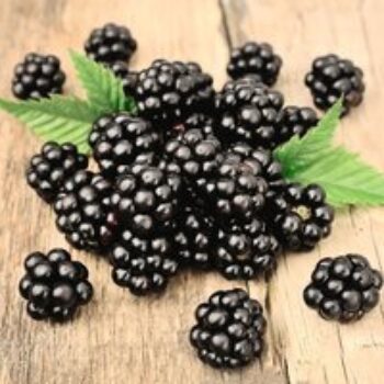 Blackberry 'Loch Ness'