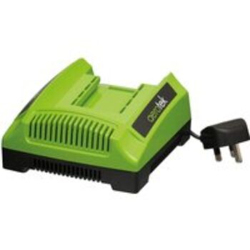 Series X2 40 Volt Battery Charger