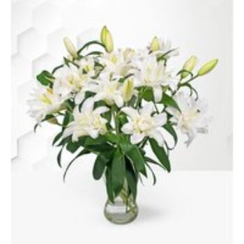 Double Flowering Lilies