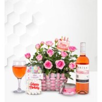 Happy Birthday Basket - Pink Rose Plant - Rose Plants - Birthday Gifts - Birthday Hampers