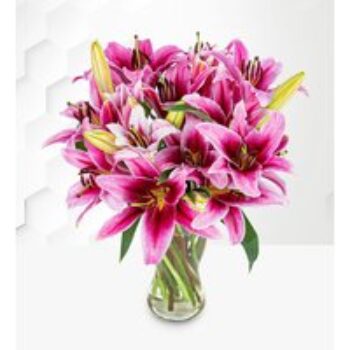 Stargazer - Flower Delivery - Next Day Flower Delivery - Next Day Flowers - Send Flowers - Flowers By Post