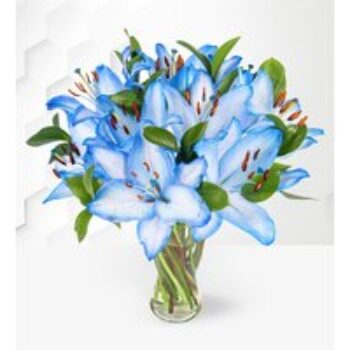 Ocean Lilies - Blue Lilies - Flower Delivery - Flowers By Post - Send Flowers - Next Day Flowers