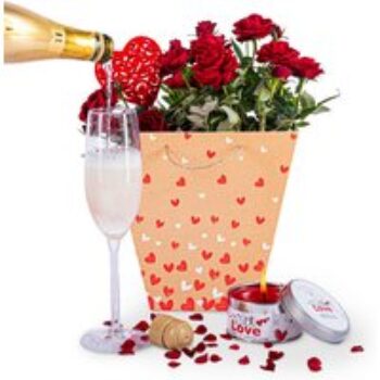 Roses and Bubbly - Valentine's Gifts - Valentine's Plants - Plant Gifts - Plant Gift Delivery - Indoor Gifts - Rose Plants