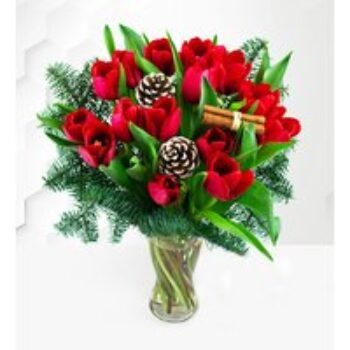 Christmas Tulips – Free Chocs – Christmas Flowers – Christmas Flowers Delivered - Xmas Flowers – Christmas Bouquets