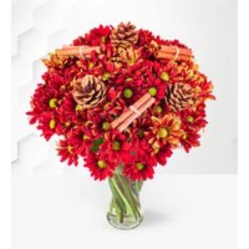 Christmas Chrysanthemums - Christmas Flowers - Christmas Flowers Delivered - Christmas Bouquets - Christmas Flowers UK