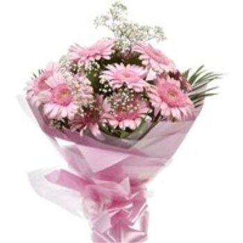 Pink Glamour Gerberas