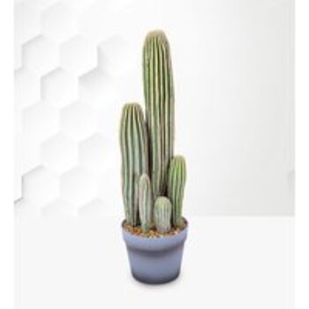 Potted Faux Cactus 23inch