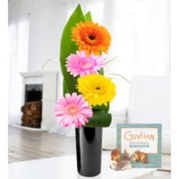 Gerberas - Free Chocs