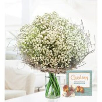 Joyful Gypsophila - Free Chocs