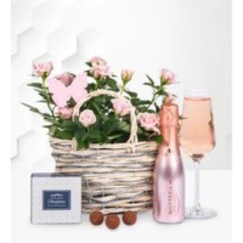 Rose and Bottega Basket - Pink Rose Plant - Birthday Gifts - Birthday Gift Delivery - Plant Gifts - Plant Gift Delivery