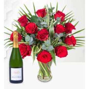 12 Red Roses with Champagne