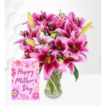 Stargazer Lilies with Card