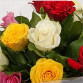 12 Beautiful Mixed Roses