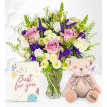 Wild and Wonderful with Teddy & Card