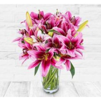 Luxury Pink Lilies