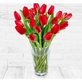 Red Spring Tulips