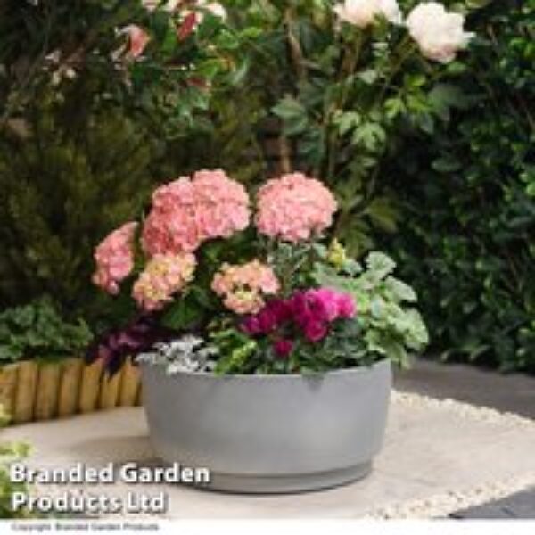 Caesar Concrete Effect Bowl Planter