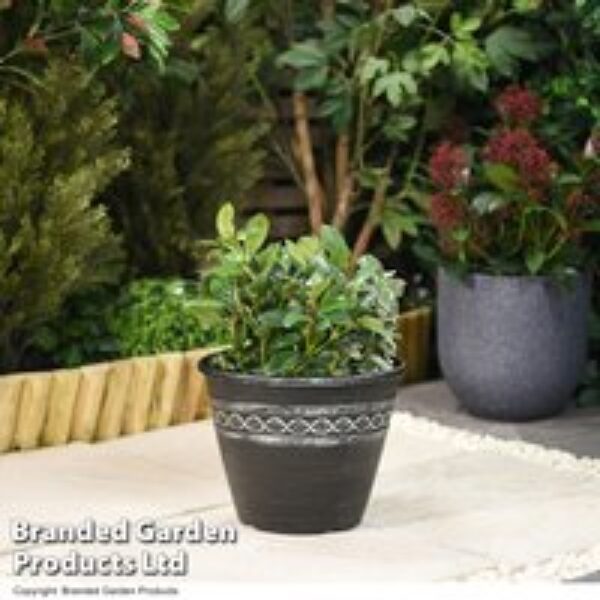 Roman-Greco Design Planter