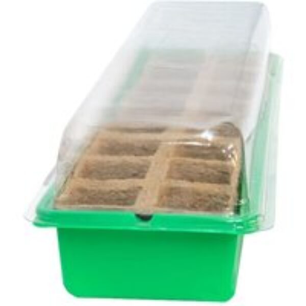 16 Cell Window Propagator