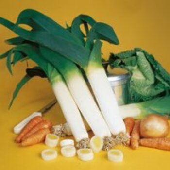 Leek 'Autumn Mammoth 2 - Snowstar' - Seeds