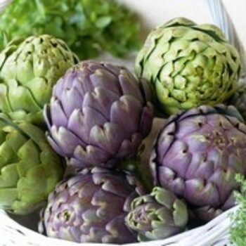 Globe Artichoke Duo