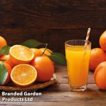 Sweet Orange (Citrus Fruit)