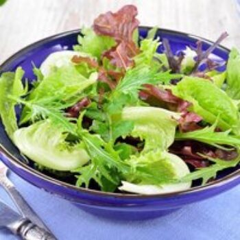 Lettuce 'Alfresco Mixed'