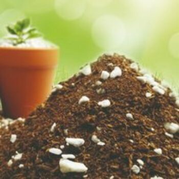 Grow Media Coir Mix 70/30