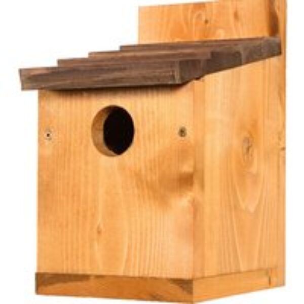 Classic Nest Box with Shingle Roof