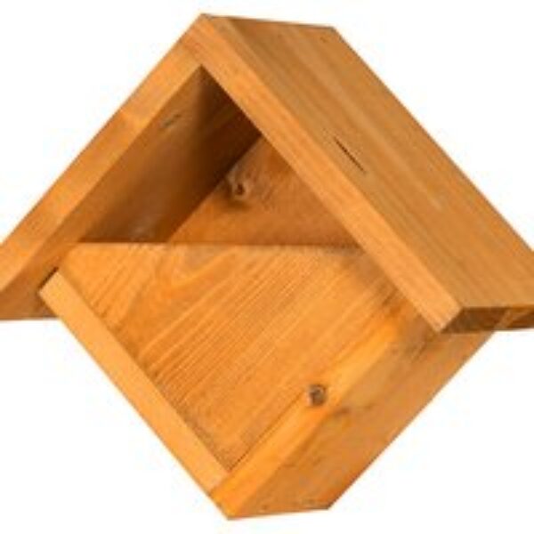 Robin Nest Box