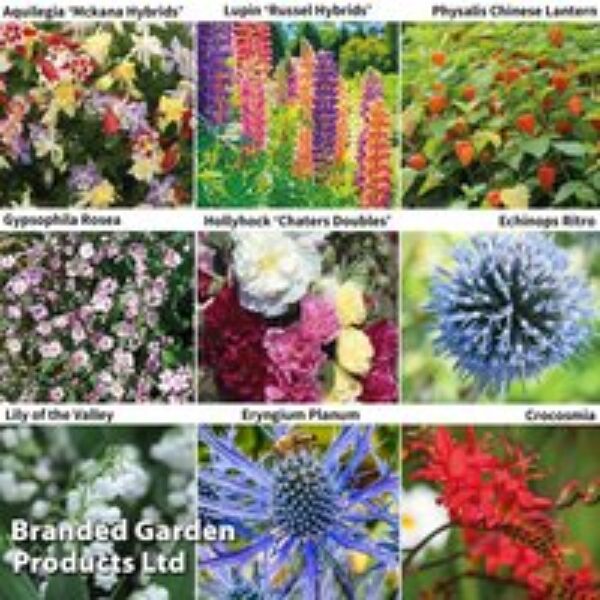 Perennial Saver Collection